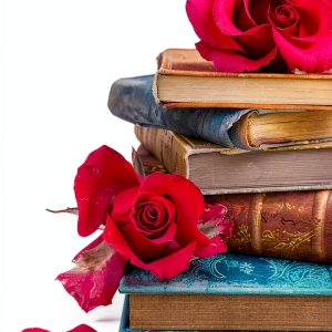 Berkley Kindle eBook Hispanic Fiction Novel 344‑Page Story-0